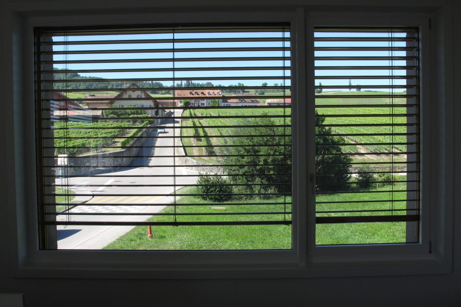 Collège-de-la-Praz-à-Féchy-4-scaled